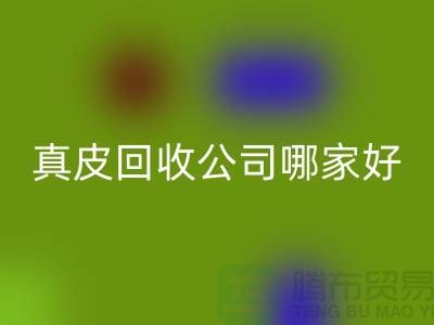 真皮星空体育(中国)官方网站STAR SPORTS公司哪家好？如何选择优质的真皮星空体育(中国)官方网站STAR SPORTS公司