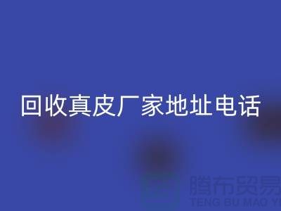 废旧皮革星空体育(中国)官方网站STAR SPORTS对环境保护的重要意义-广州星空体育(中国)官方网站STAR SPORTS真皮厂家地址