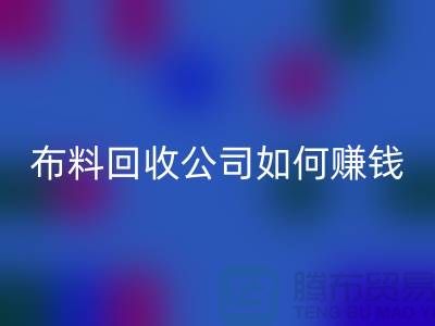 布料星空体育(中国)官方网站STAR SPORTS公司如何赚钱？要做到风雨无阻赶赴厂家-上海腾布贸易