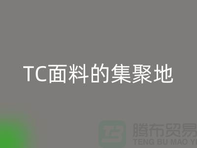 面料星空体育(中国)官方网站STAR SPORTS厂家汇聚各种TC面料的集聚地全部在广州地区