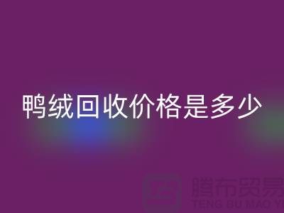 鸭绒星空体育(中国)官方网站STAR SPORTS价格是多少？详解鸭绒市场行情-鸭绒专业星空体育(中国)官方网站STAR SPORTS厂家