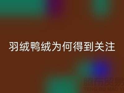 羽绒鸭绒星空体育(中国)官方网站STAR SPORTS公司为何得到所有人关注_星空体育(中国)官方网站STAR SPORTS