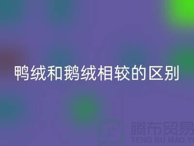 鸭绒和鹅绒相较后的区别-90鸭绒星空体育(中国)官方网站STAR SPORTS-库存羽绒星空体育(中国)官方网站STAR SPORTS公司
