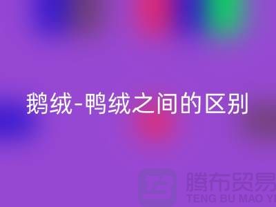 关于鹅绒-鸭绒之间的区别-鹅绒星空体育(中国)官方网站STAR SPORTS-鸭绒星空体育(中国)官方网站STAR SPORTS-羽绒星空体育(中国)官方网站STAR SPORTS厂家