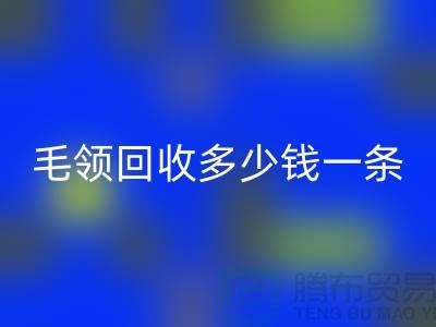 派克服毛领星空体育(中国)官方网站STAR SPORTS多少钱一条