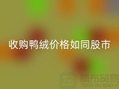 收购鸭绒价格如同股市一样飘泊不定-郑州库存鸭绒星空体育(中国)官方网站STAR SPORTS厂家