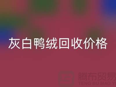 灰白鸭绒星空体育(中国)官方网站STAR SPORTS价格：环保与时尚的完美结合-杭州羽绒星空体育(中国)官方网站STAR SPORTS厂家