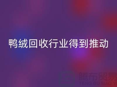 90鸭绒星空体育(中国)官方网站STAR SPORTS行业2021年得到极大的推动_星空体育(中国)官方网站STAR SPORTS