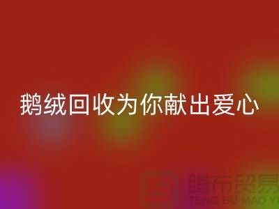 漂白鹅绒星空体育(中国)官方网站STAR SPORTS为你献出一份爱心-90鸭绒星空体育(中国)官方网站STAR SPORTS价格-国标羽绒星空体育(中国)官方网站STAR SPORTS