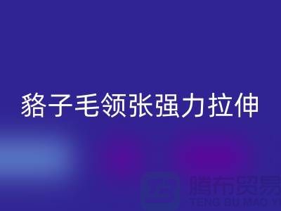 貉子毛领的皮张强力拉伸-为什么不变型-高价星空体育(中国)官方网站STAR SPORTS毛领厂家