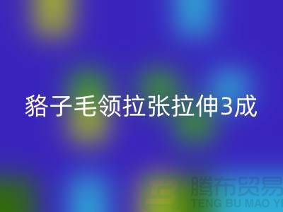 貉子毛领的皮张拉伸3成，痕迹客户也看不出来-星空体育(中国)官方网站STAR SPORTS毛领厂家