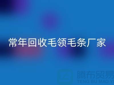 真毛领子、假毛领子怎么辨别？常年星空体育(中国)官方网站STAR SPORTS毛领毛条厂家来告诉你