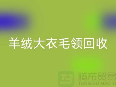 羊绒大衣毛领星空体育(中国)官方网站STAR SPORTS_真皮狐狸毛领星空体育(中国)官方网站STAR SPORTS_星空体育(中国)官方网站STAR SPORTS