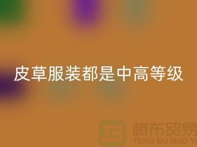 上W块十几W的皮草服装都是中高等级的皮制作的-星空体育(中国)官方网站STAR SPORTS毛领厂家