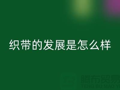 织带的发展是怎么样的呢-废旧织带星空体育(中国)官方网站STAR SPORTS价格-废旧织带星空体育(中国)官方网站STAR SPORTS厂家