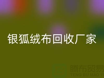 银狐绒布星空体育(中国)官方网站STAR SPORTS厂家：让旧衣物焕发新生-服装面料星空体育(中国)官方网站STAR SPORTS公司