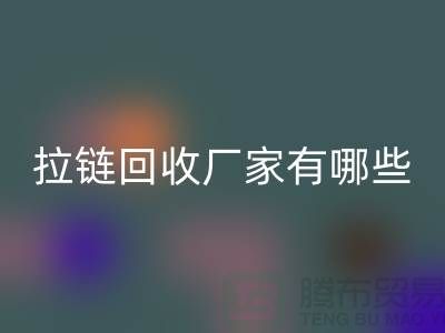 拉链星空体育(中国)官方网站STAR SPORTS厂家有哪些-上海服装拉链收购公司知名企业