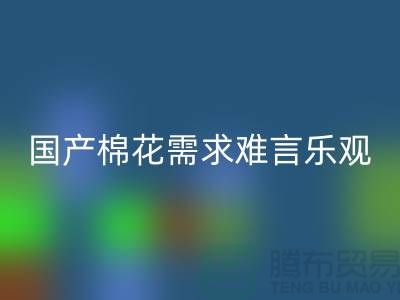 国产棉花需求难言乐观-星空体育(中国)官方网站STAR SPORTS库存棉纱-库存棉纱星空体育(中国)官方网站STAR SPORTS公司