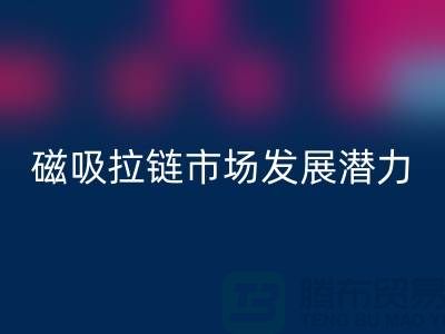 磁吸拉链市场发展潜力研究分析报告_上海拉链星空体育(中国)官方网站STAR SPORTS公司