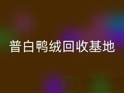普白鸭绒星空体育(中国)官方网站STAR SPORTS基地：环保与经济的完美结合-纯白鹅绒星空体育(中国)官方网站STAR SPORTS厂家