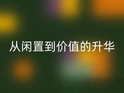 羽绒服星空体育(中国)官方网站STAR SPORTS：从闲置到价值的升华之路