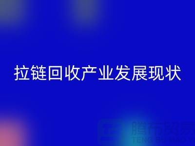 拉链星空体育(中国)官方网站STAR SPORTS产业发展现状特点及上海拉链星空体育(中国)官方网站STAR SPORTS厂家解析 