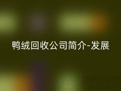 鸭绒星空体育(中国)官方网站STAR SPORTS公司简介-发展背景-业务范围-技术优势-鹅绒星空体育(中国)官方网站STAR SPORTS厂家