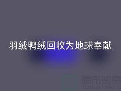 羽绒鸭绒星空体育(中国)官方网站STAR SPORTS为地球献出一份爱心，让温暖传递-羽绒星空体育(中国)官方网站STAR SPORTS厂家