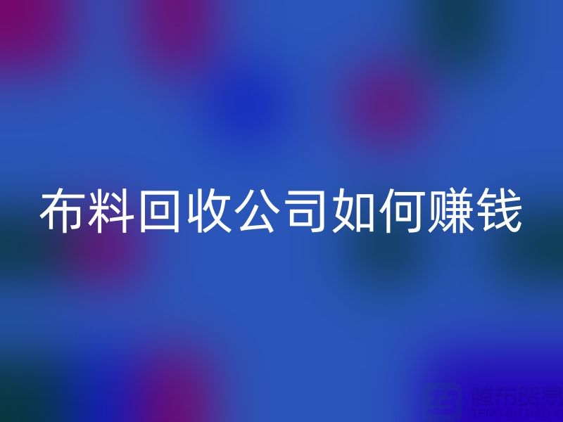 布料星空体育(中国)官方网站STAR SPORTS公司如何赚钱-小白编辑解说-服装面料星空体育(中国)官方网站STAR SPORTS公司