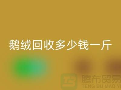 白羽绒星空体育(中国)官方网站STAR SPORTS：附近鸭绒星空体育(中国)官方网站STAR SPORTS价格，鹅绒星空体育(中国)官方网站STAR SPORTS多少钱一斤，专业厂家为您提供服务