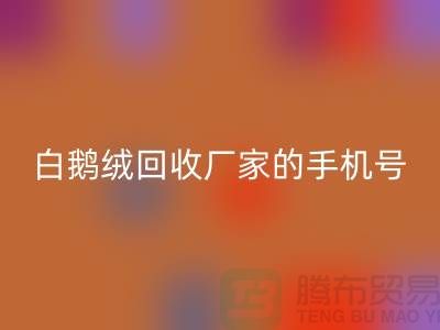 羽绒星空体育(中国)官方网站STAR SPORTS基地的位置，鸭绒星空体育(中国)官方网站STAR SPORTS行情报价，以及白鹅绒星空体育(中国)官方网站STAR SPORTS厂家的手机号