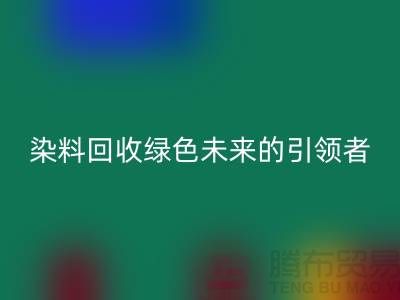 库存染料星空体育(中国)官方网站STAR SPORTS厂家的创新之路：绿色未来的引领者