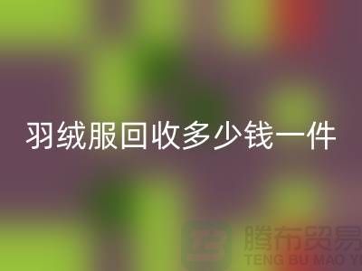 羽绒服星空体育(中国)官方网站STAR SPORTS多少钱一件-为你揭秘价格-上海星空体育(中国)官方网站STAR SPORTS服装尾货公司
