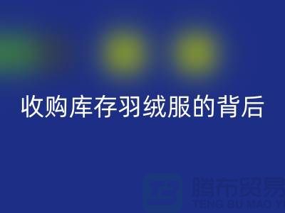 收购库存羽绒服的背后隐藏着巨大的商机-二手羽绒服星空体育(中国)官方网站STAR SPORTS市场