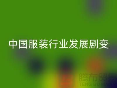 中国服装行业发展剧变-成败重要途径-上海库存服装星空体育(中国)官方网站STAR SPORTS公司
