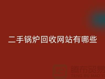 二手锅炉星空体育(中国)官方网站STAR SPORTS网站有哪些？大型锅炉星空体育(中国)官方网站STAR SPORTS厂家推荐上海腾布贸易
