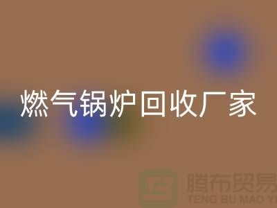 燃气锅炉星空体育(中国)官方网站STAR SPORTS厂家：做到了企业环保更完美-大型锅炉星空体育(中国)官方网站STAR SPORTS