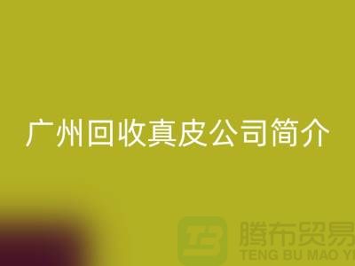 真皮星空体育(中国)官方网站STAR SPORTS厂家介绍-市场价格浮动不定-广州星空体育(中国)官方网站STAR SPORTS真皮公司简介