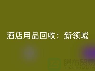 酒店用品星空体育(中国)官方网站STAR SPORTS：新领域探索与盈利模式创新