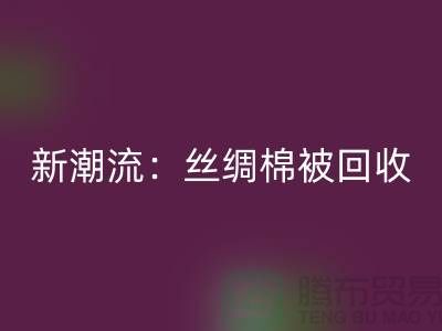 环保新潮流：丝绸棉被星空体育(中国)官方网站STAR SPORTS，价格让您惊喜连连！