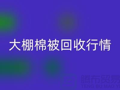 大棚棉被星空体育(中国)官方网站STAR SPORTS平台的最佳价格大揭秘，省时省力