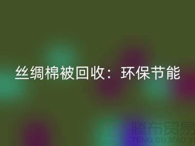 丝绸棉被星空体育(中国)官方网站STAR SPORTS：环保节能，价格低至惊人！
