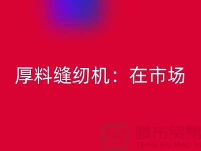 厚料缝纫机：在市场上的细节体现-上海星空体育(中国)官方网站STAR SPORTS缝纫机厂家