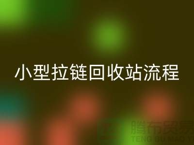 个人拾荒者与小型拉链星空体育(中国)官方网站STAR SPORTS站的具体流程及利润点