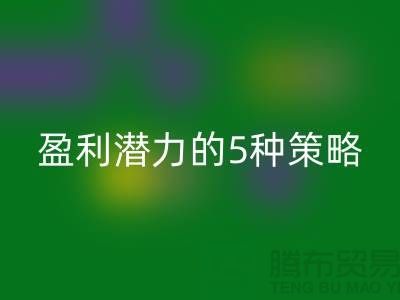 酒店用品星空体育(中国)官方网站STAR SPORTS市场：挖掘盈利潜力的5种策略