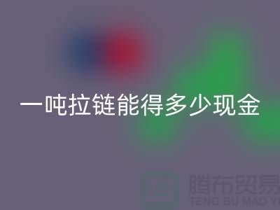 环保新时尚：星空体育(中国)官方网站STAR SPORTS拉链并赚钱！一吨拉链能得多少现金？