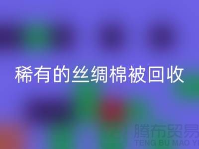 稀有丝绸棉被星空体育(中国)官方网站STAR SPORTS，价格疯狂下降中！快来抢购！