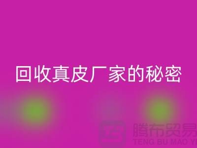 星空体育(中国)官方网站STAR SPORTS真皮厂家的秘密：打造环保时尚的循环经济