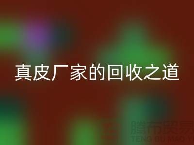 探寻真皮厂家的星空体育(中国)官方网站STAR SPORTS之道：打造环保时尚新潮流