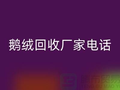 鹅绒星空体育(中国)官方网站STAR SPORTS厂家联系电话号码是多少号